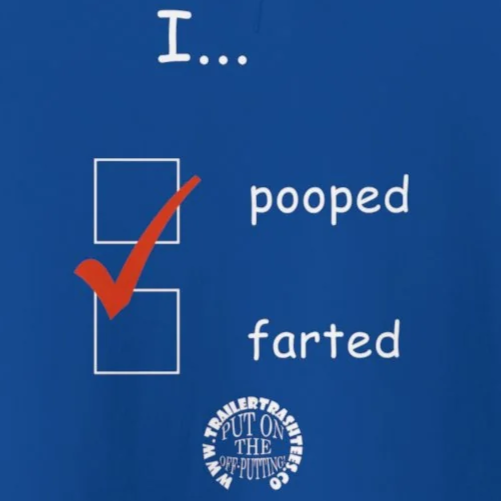 Pooped/Farted Fun Hoodie