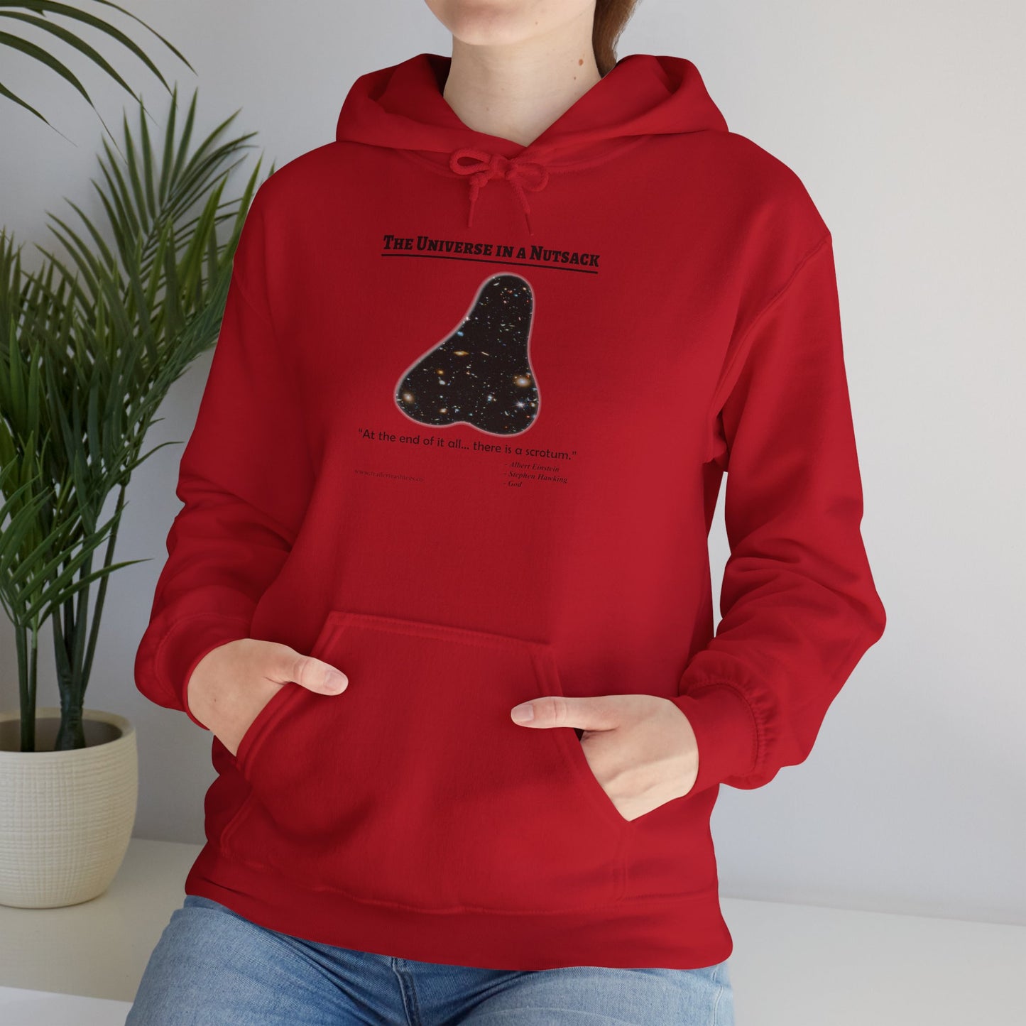 The Universe in a Nutsack Fun Hoodie