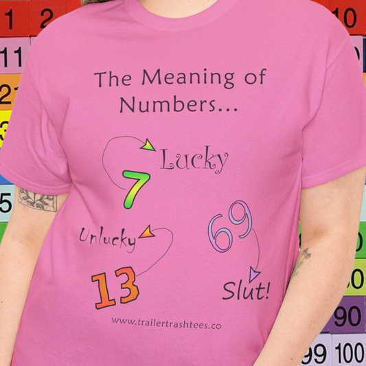 The Meaning of Numbers Fun Tee